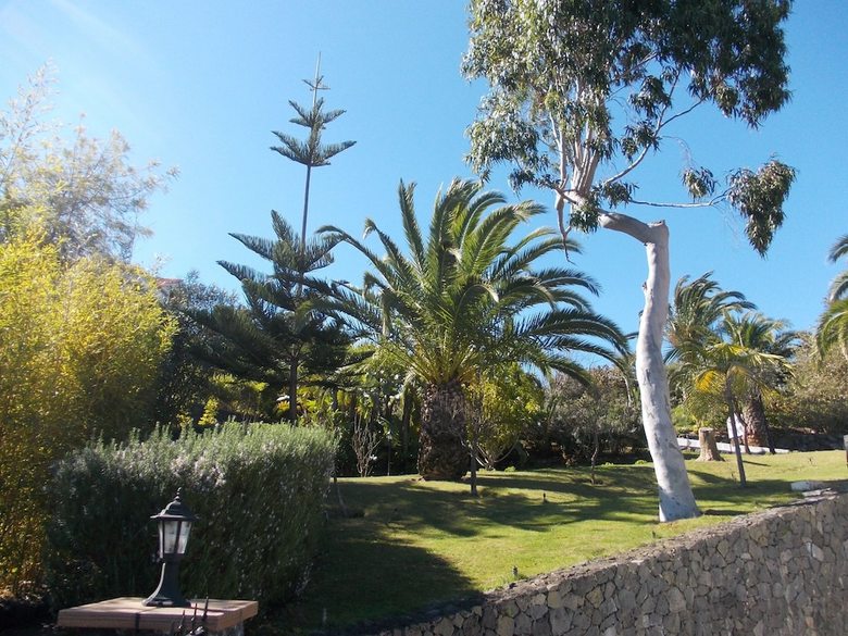 Hotel La Palma Rom�ntica