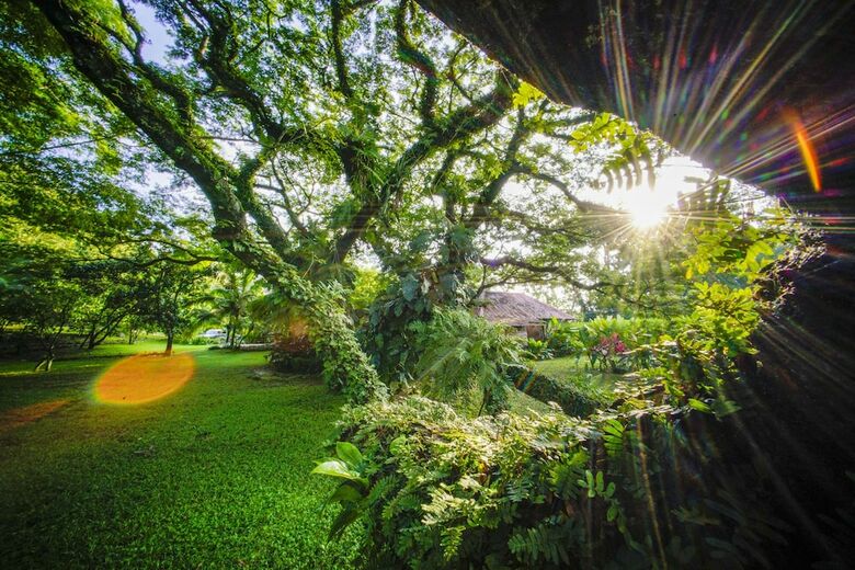 Villa Ecovital Costa Rica