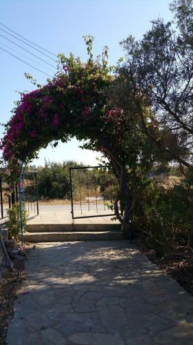 Akamas Villas - Villa Queen Evridiki