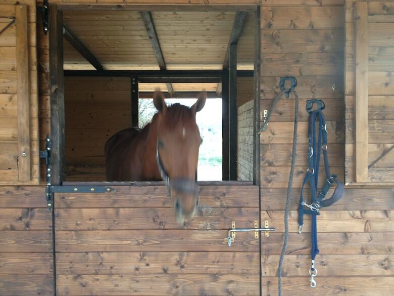 Agroturismo Agriturismo Paradiso