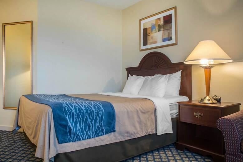 Hotel Comfort Inn And Suites Ingersoll