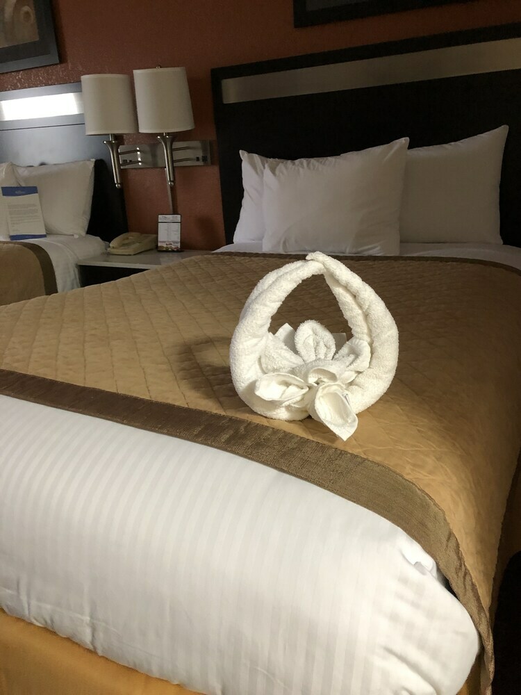 Hotel Baymont By Wyndham Cincinnati