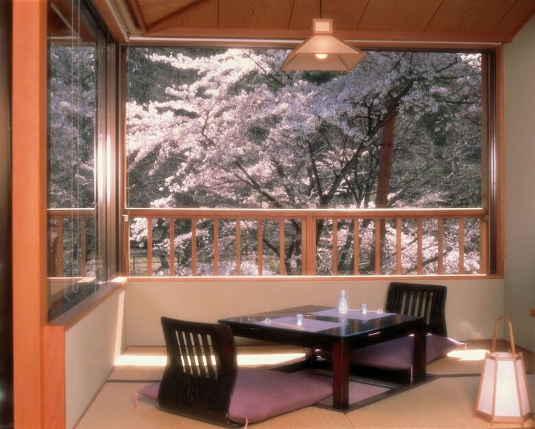 Hotel Kinseikan Seseragi