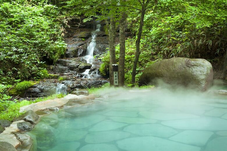 Hoshino Resorts Oirase Keiryu Hotel