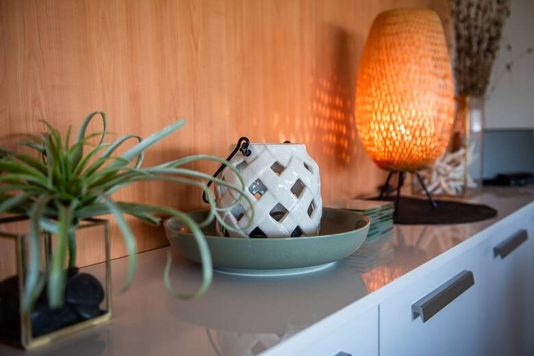 Apartamentos Oasis 22