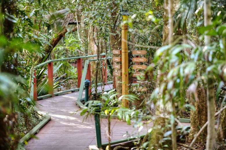 The Mouses House Rainforest Retreat