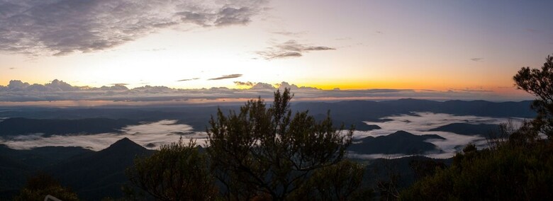 Mt Warning Rainforest Park