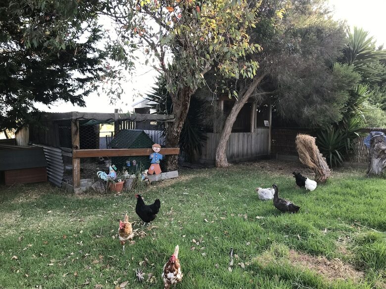 Aussie Golf Ranch