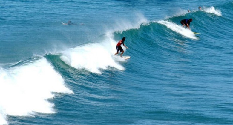 Apartamentos Blue Wave Motel Mount Maunganui