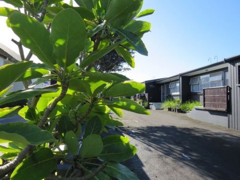 Apartamentos Blue Wave Motel Mount Maunganui