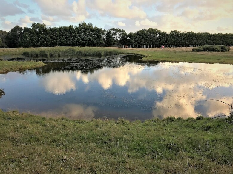Woodbyne Resort