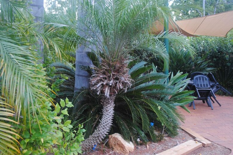 Kingaroy Holiday Park