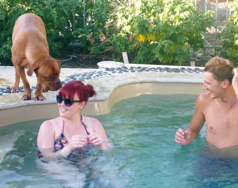 Must Love Dogs B&B