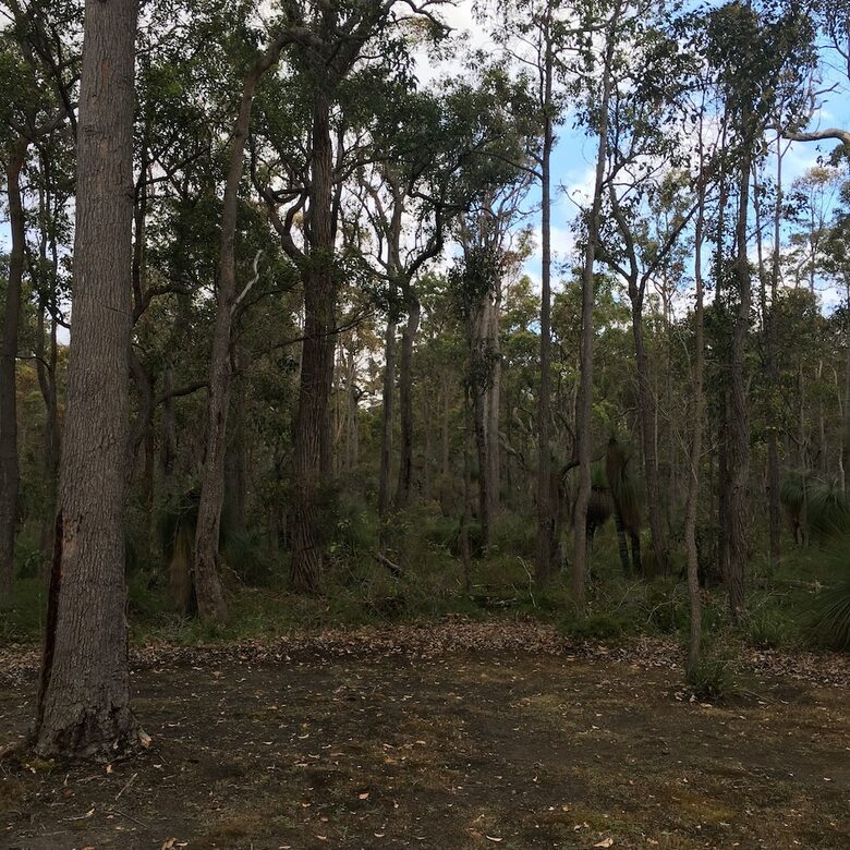Island Brook Estate