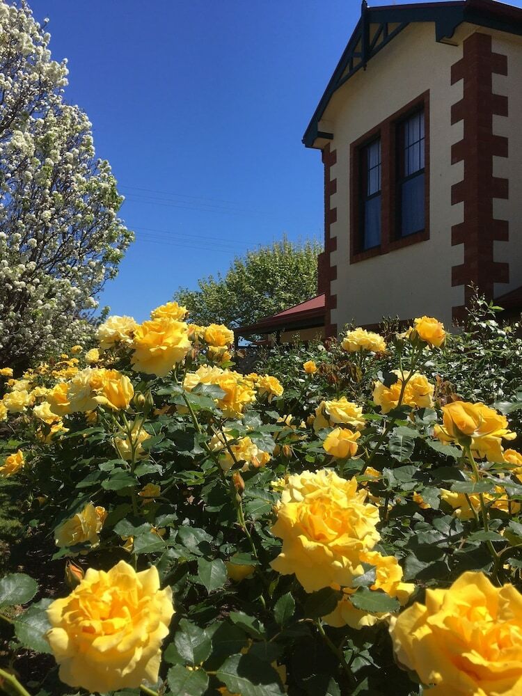 Wine And Roses Bed And Breakfast