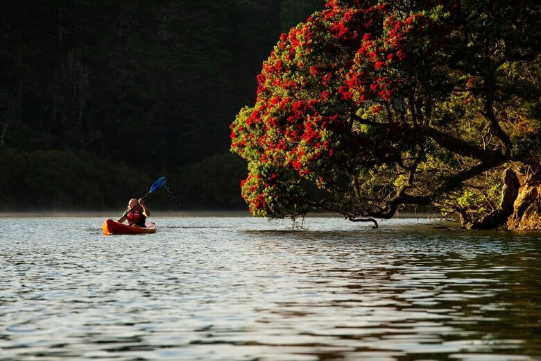 Paihia Top 10 Holiday Park