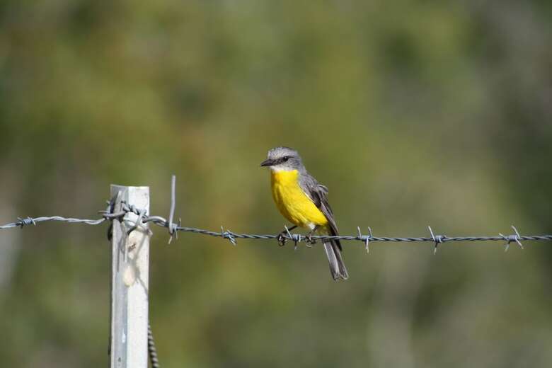 Bed & Breakfast Barking Owl Retreat