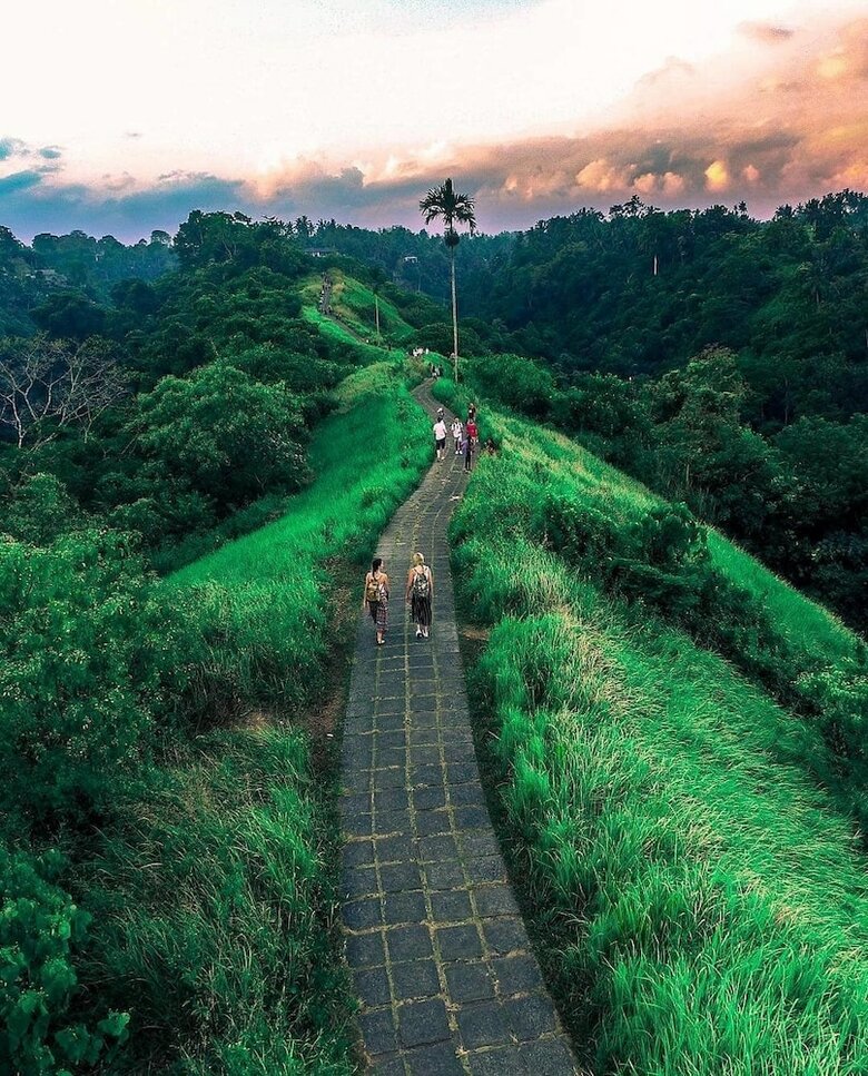 Hotel Lodtunduh Sari