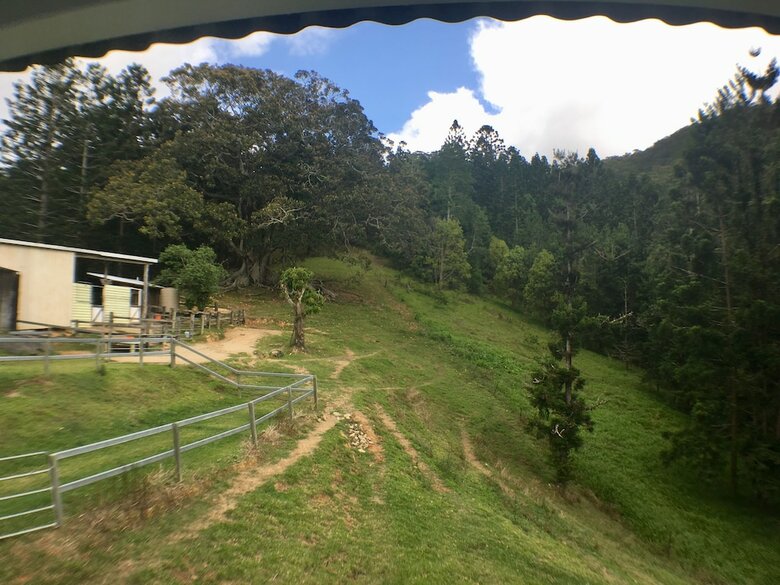 Bed & Breakfast Ingleside Stud Farm