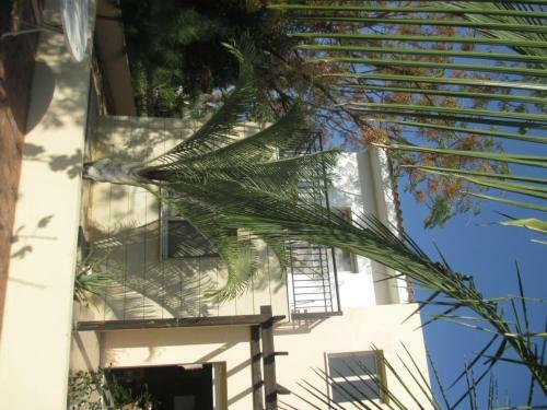 Byreva Apartments