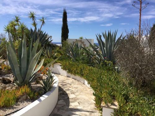 Apartamento Ikaria Village Studio