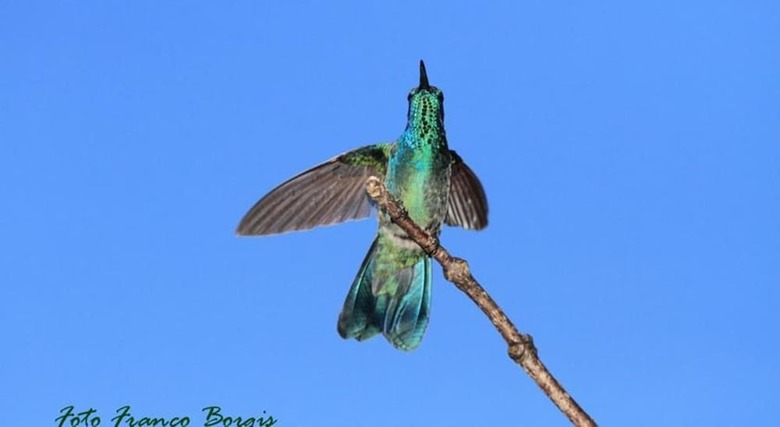 Posada Mirador de Quetzales
