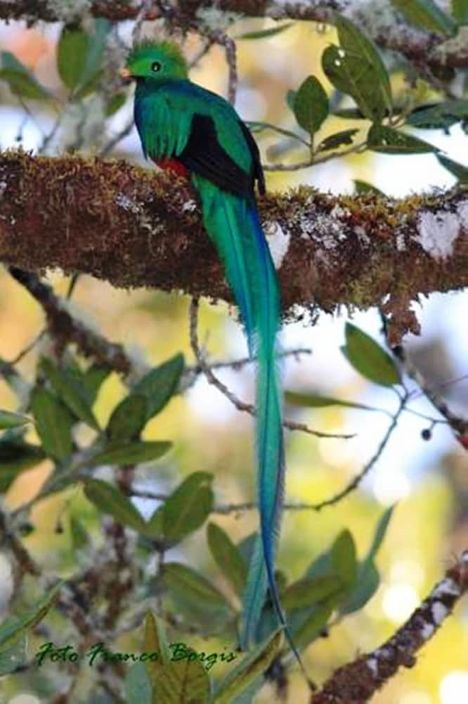 Posada Mirador de Quetzales