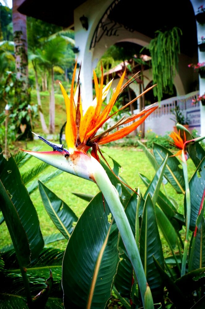 Apartamento Hotel Rio Perlas Spa And Resort