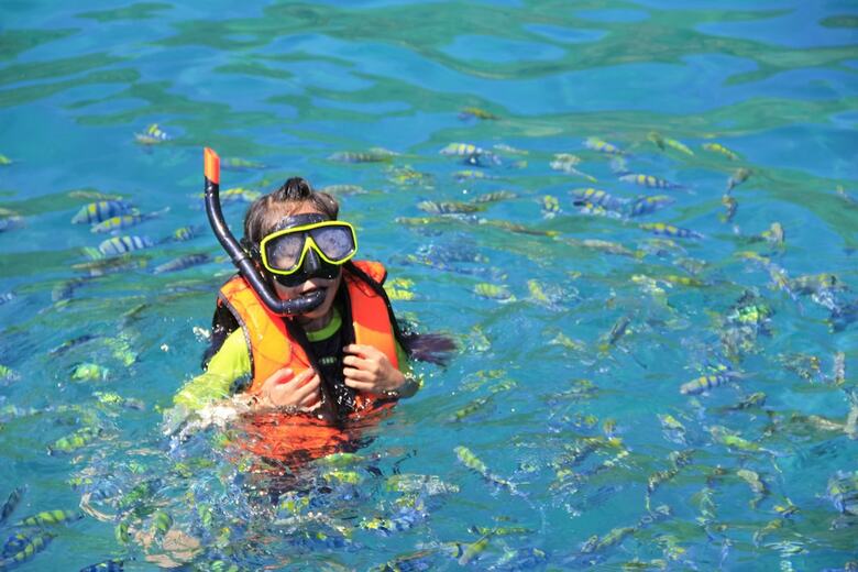 Hotel Coral Island Resort
