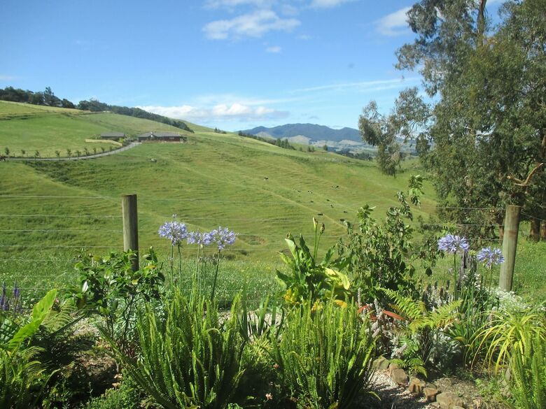 Aparthotel Kauri Lodge Karapiro