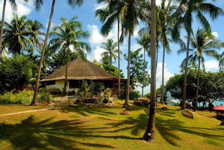 Hotel The Jungle Club