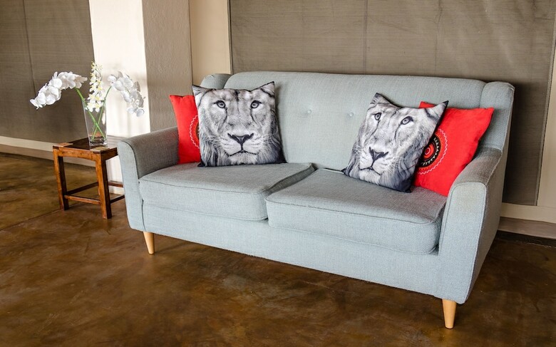 Cheetah Paw Eco Lodge