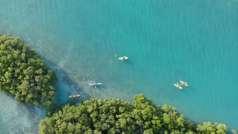Royal Palm Island Resort