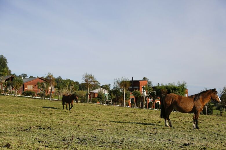 Caba�as Anulen Puerto Varas