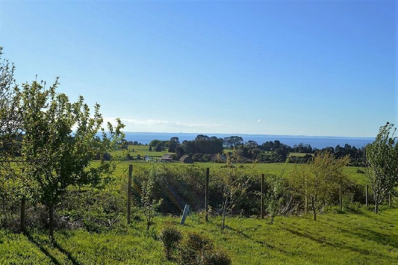 Caba�as Anulen Puerto Varas