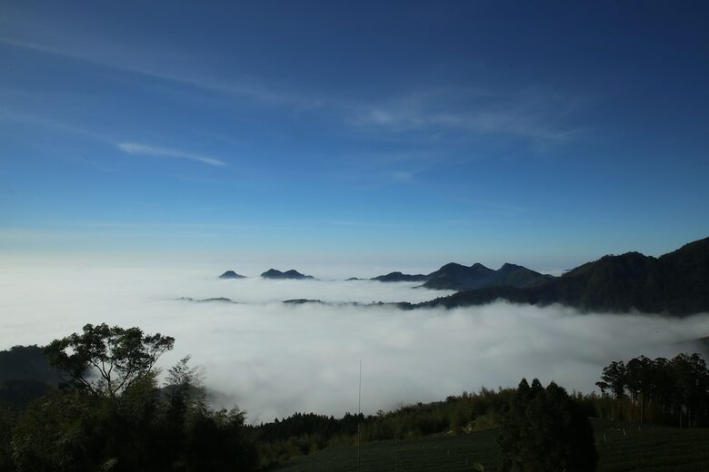 Hotel Alishan B&B Yunmingi Aliscenery