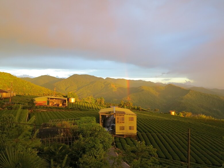 Hotel Alishan B&B Yunmingi Aliscenery