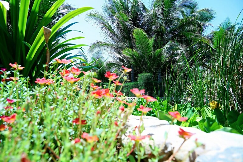 Hotel Sandunes Beach Resort & Spa
