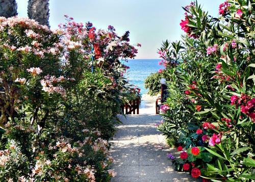 Rododafni Beach Apartments