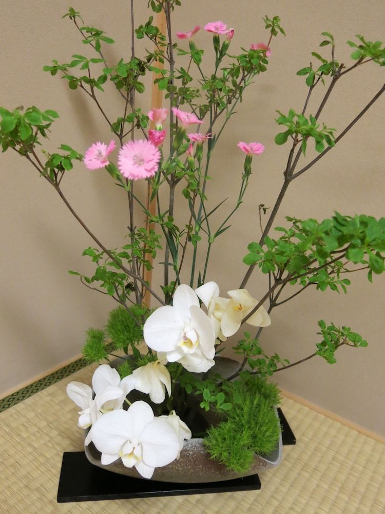 Nagomiyado Towa