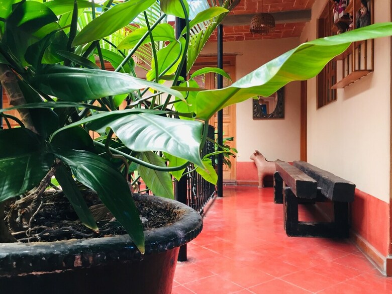 Hotel Cazomalli Oaxaca