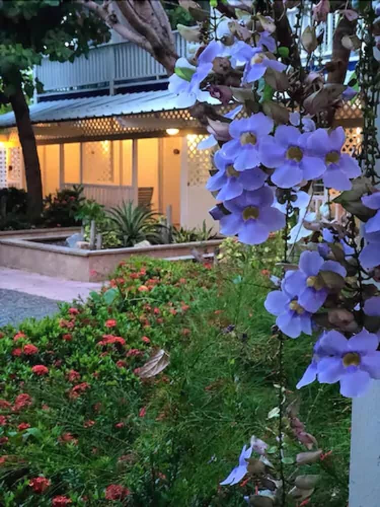 Posada Parador Villa Parguera