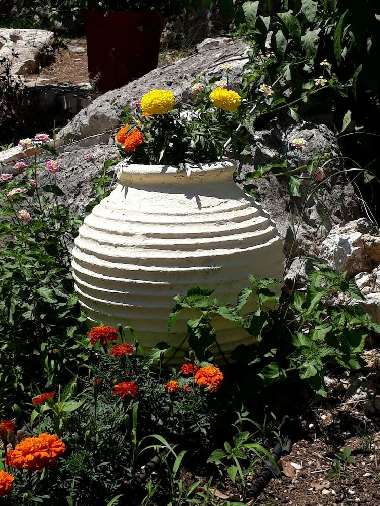 Apartamentos La Casa Di Nonna