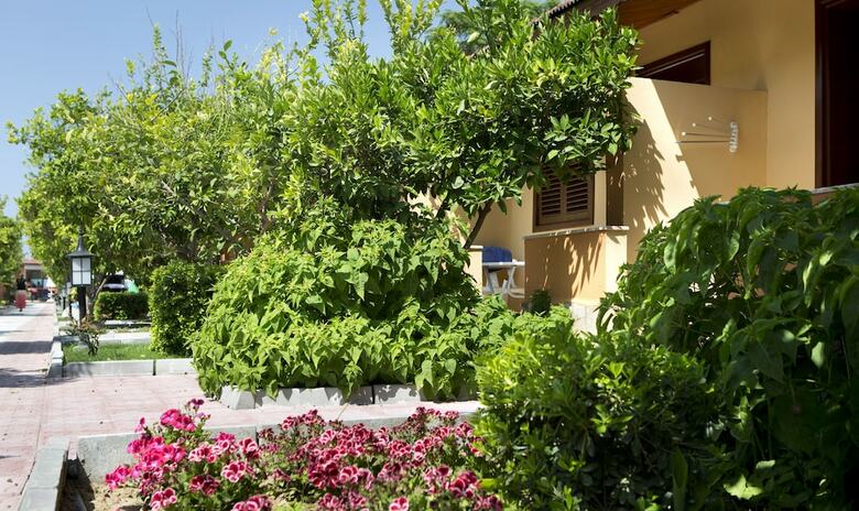Hotel Ozlem Garden - All Inclusive