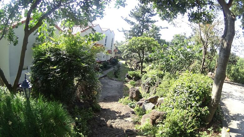Hotel Memory In Jeju Pension
