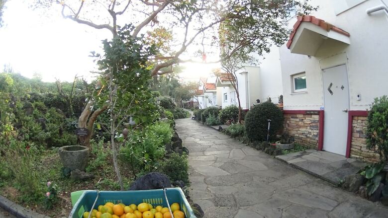 Hotel Memory In Jeju Pension
