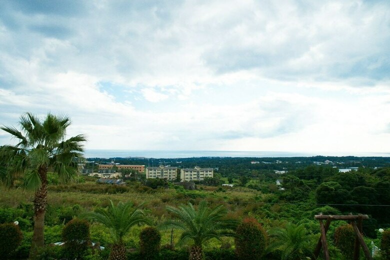 Hotel Memory In Jeju Pension