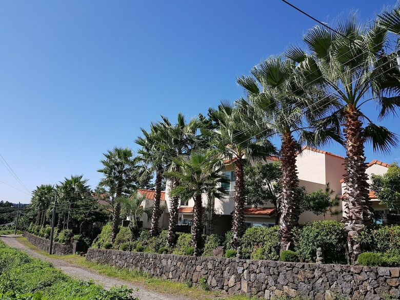 Hotel Memory In Jeju Pension