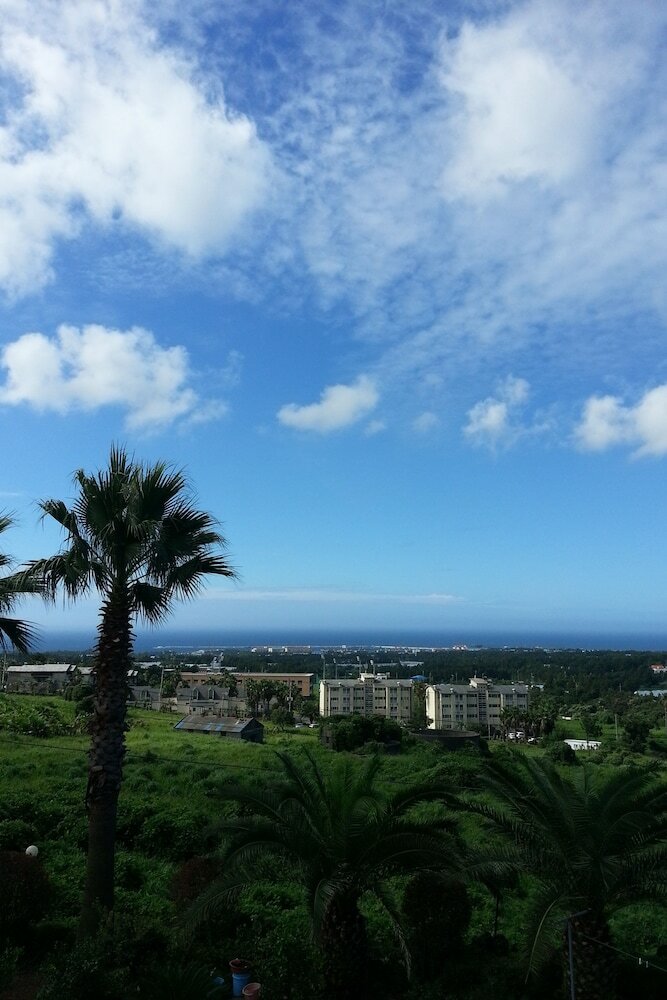Hotel Memory In Jeju Pension