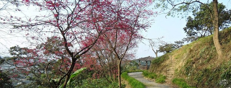Hotel Shangrila Leisure Farm